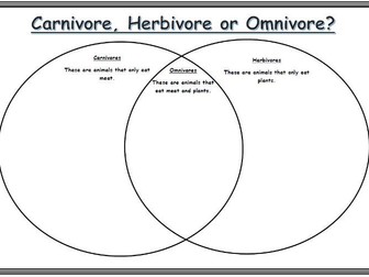 KS1 Carnivore, Omnivore, Herbivore sorting