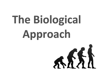 Biological Psychology Q&A revision notes