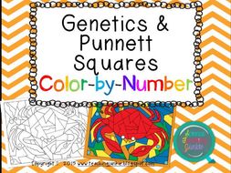 Genetics and Punnett Squares Color-by-Number