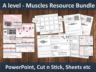 Muscles Resource Bundle (A level)