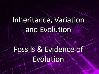 New AQA (9-1) GCSE Biology IVE:Fossils and Evidence of Evolution (4.6.3.4, 4.6.3.5 and 4.6.2.5)