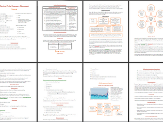 New Edexcel Geography A Level - Carbon Cycle and Energy Security revision notes