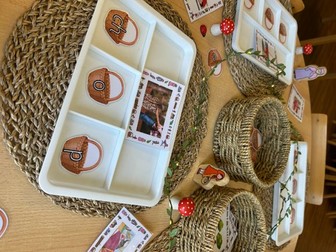 Little Red Riding Hood Phonics Activity