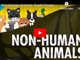 Speciesism and Non Human Animals