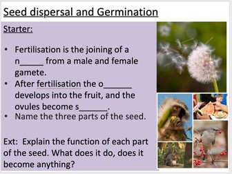 KS3 Seed dispersal and Germination