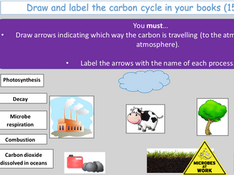 KS3 Activate Carbon Cycle