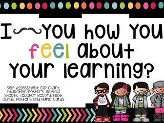How do you feel about your learning? Self Assessment Set