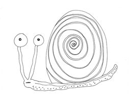 Minibeasts Bundle