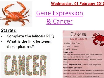 AQA 2016 Cancer (Year 2) - Tumour suppressor genes & Oncogenes