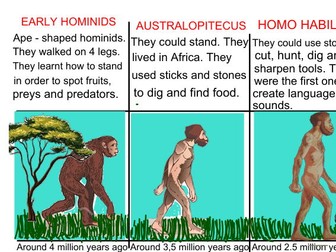 Evolution timeline