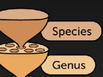 Classifying Organisms