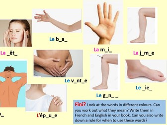 French primary lessons (Y4/ Y5). 14 lessons, including SoW