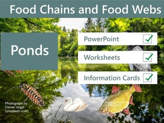 Food Chains and Food Webs - Ponds