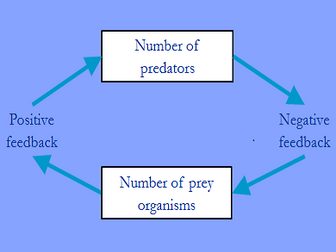 IB DP Environmental Systems & Societies - Topic 1.3 Feedback types