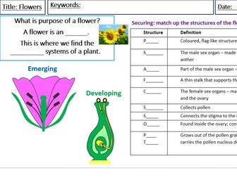 AQA Year 7 Science - Flowers & Pollination