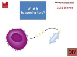 New AQA Biology Spec Producing and uses of monoclonal antibodies