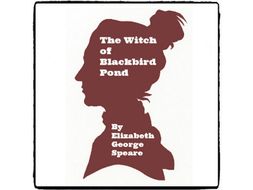 The Witch of Blackbird Pond - (Reed Novel Studies)