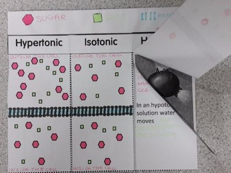 AQA 9-1 Osmosis Interactive Note Book activity