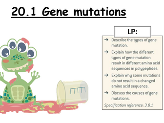 AQA A-level biology: 20.1 Gene mutation