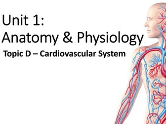 BTEC Sport L3 Unit 1 A&P - Cardiovascular System