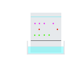 Paper chromatography animation
