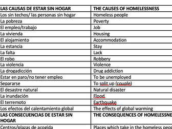 GCSE Spanish global issues vocabulary