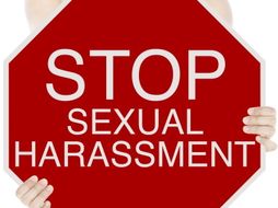 Sexual Harassment, Intimidation and Bullying In Schools and In The Workplace