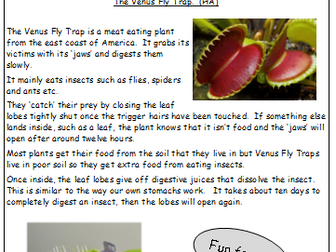 Guided Reading - mini SATs style, Year 3 or 4, Non-Fiction, Venus Fly Traps
