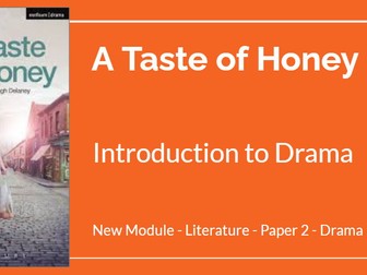 A Taste of Honey - Full KS4 Unit for Cambridge IGCSE Literature