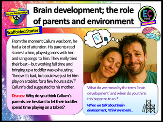 Parenting, Pregnancy + Brain Development