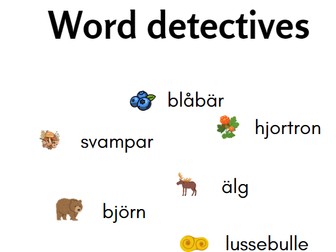 Word Detectives Sweden
