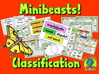 Minibeasts  Classification Activity