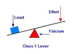 Levers Worksheet GCSE PE | Teaching Resources