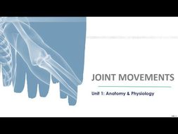 Joint Movements Teaching Resources