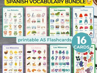 SPANISH BASIC VOCABULARY overview bundle