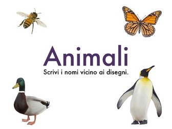 Gli Animali Italian Worksheet
