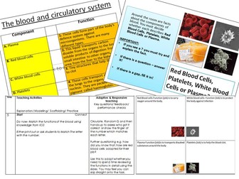 Components of the blood and circulatory system OCR B2.2/AQA 4.2.2