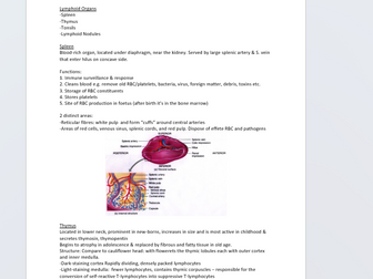 Lymphatic system