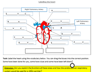 Cardiovascular system-Functions and labelling the heart