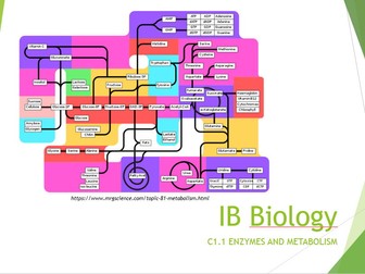 IB Biology 2025 syllabus Topic C1.1