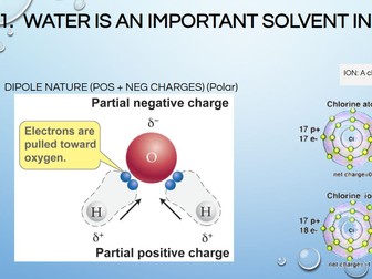 AS Biology - Water (international)