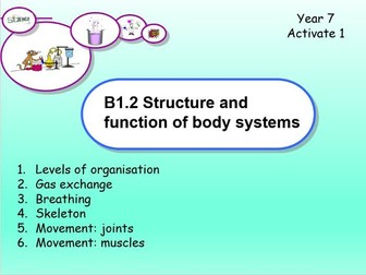Year 7 Body Systems - Ppt and worksheets