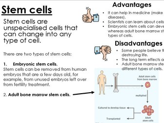 Biology revision booklet (low ability)