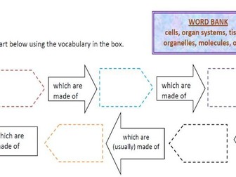 Anatomy Biology Levels of organization in living things
