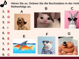 Year 7 German Starter Pack