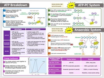 A Level PE - Energy Systems Knowledge Organiser