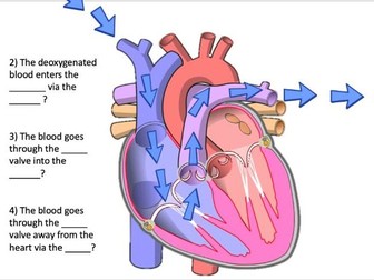 Cardio-respiratory system powerpoint animation