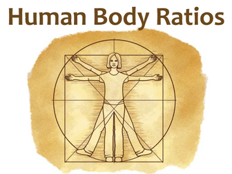 Human Body Ratio