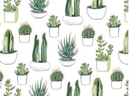 Succulent Class Pack