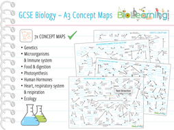 GCSE Biology Revision - 7x A3 Concept maps (KS4) | Teaching Resources